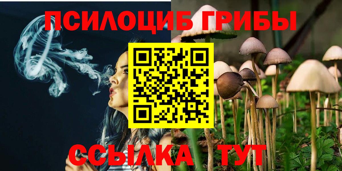 Псилоцибиновые грибы мицелий  Вход с VPN  Шарыпово 