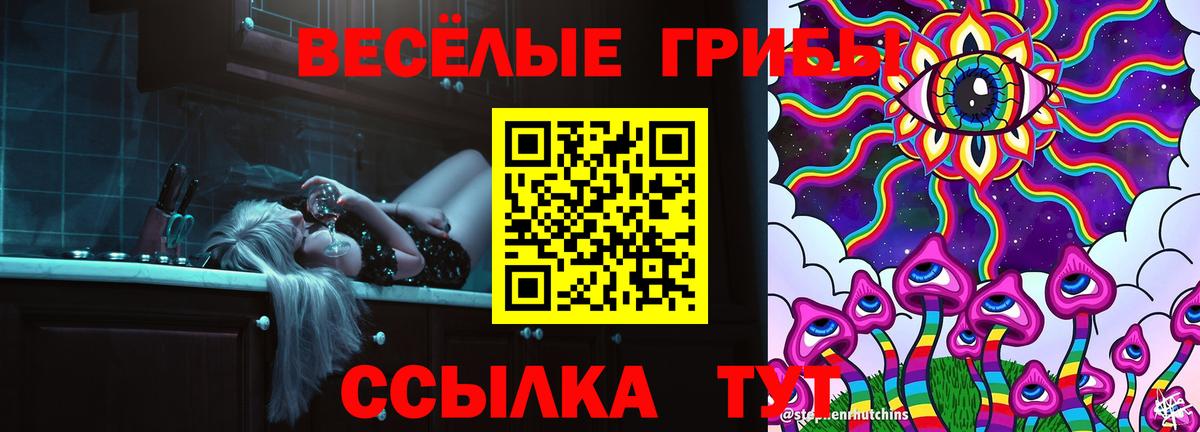Галлюциногенные грибы Psilocybe Шарыпово